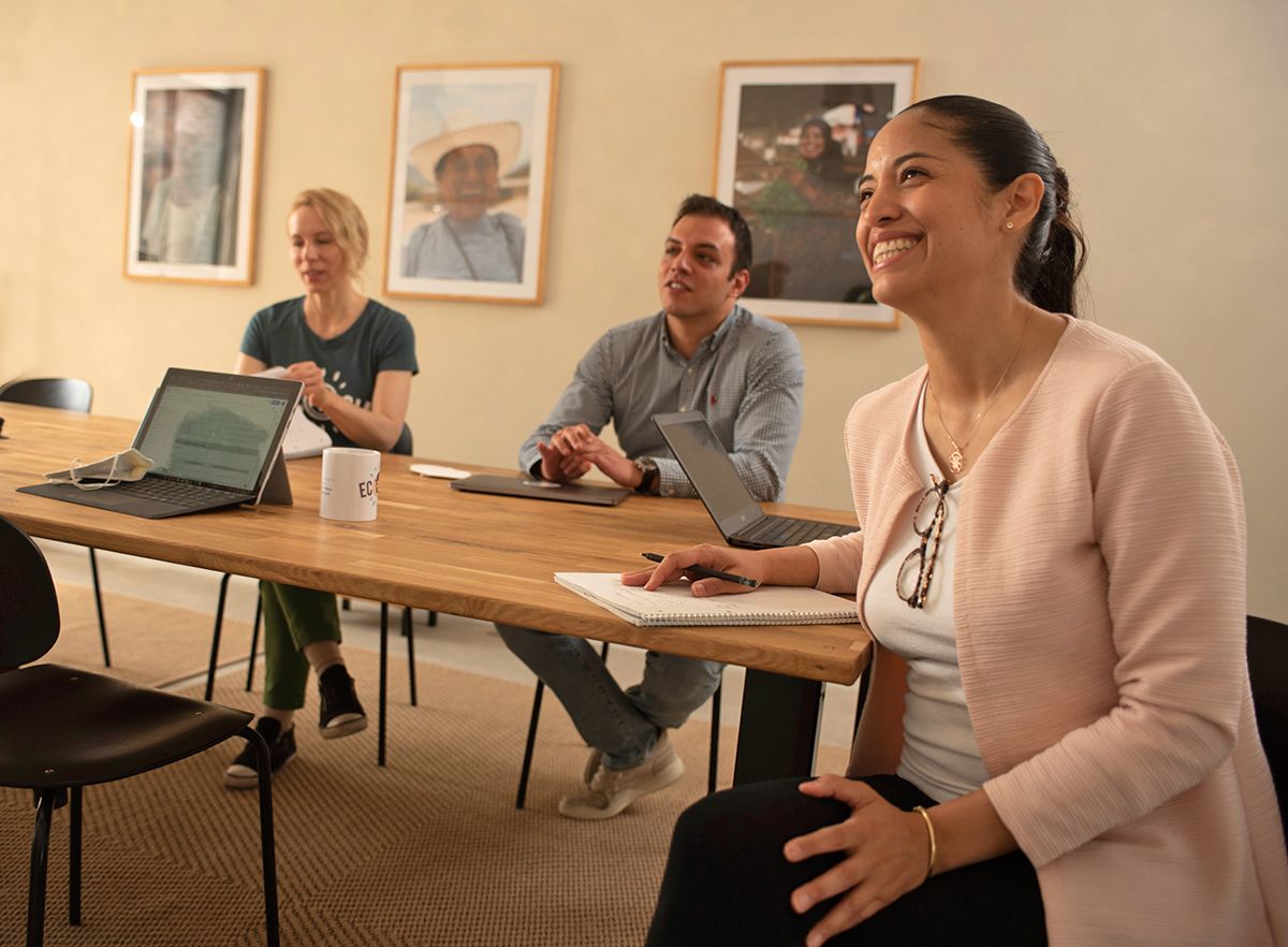 Team members meeting in a warmly designed meeting room