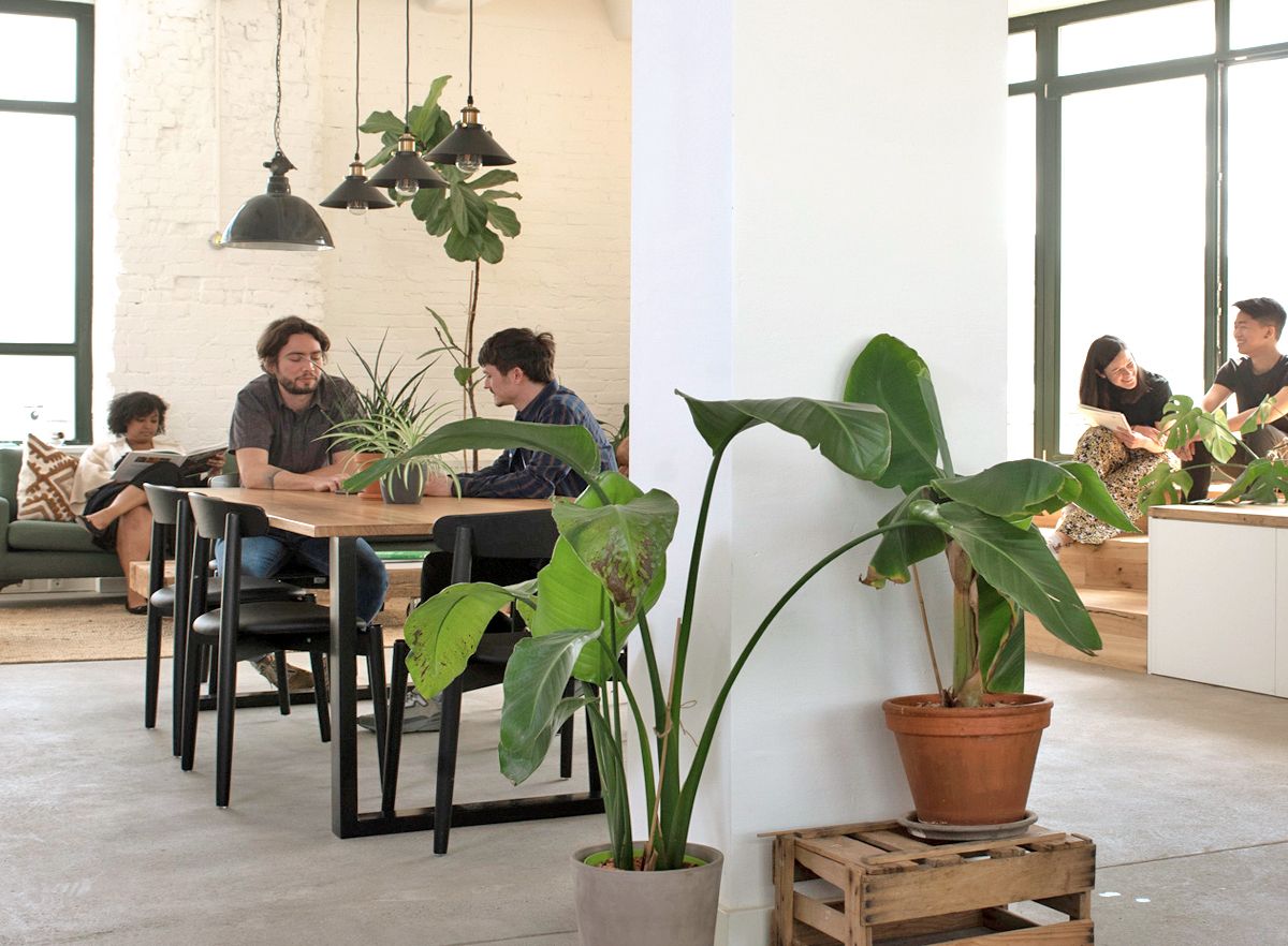 The leafy office has many social spaces for meeting team members or working away from the desk