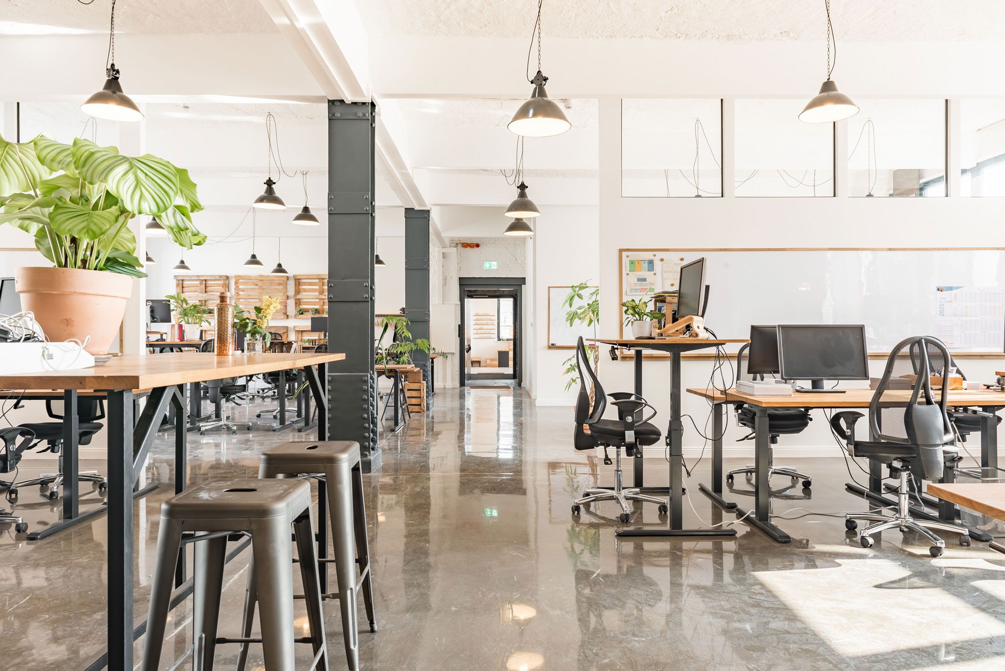 The bright spacious office offers height adjustable oak desks and ergonomic chairs