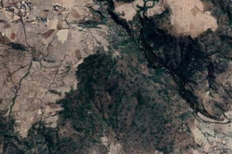 Une autre image de la même parcelle de terre après la plantation d'arbres, désormais recouverte à 50 % d'une forêt d'un vert profond et à l'aspect restauré.